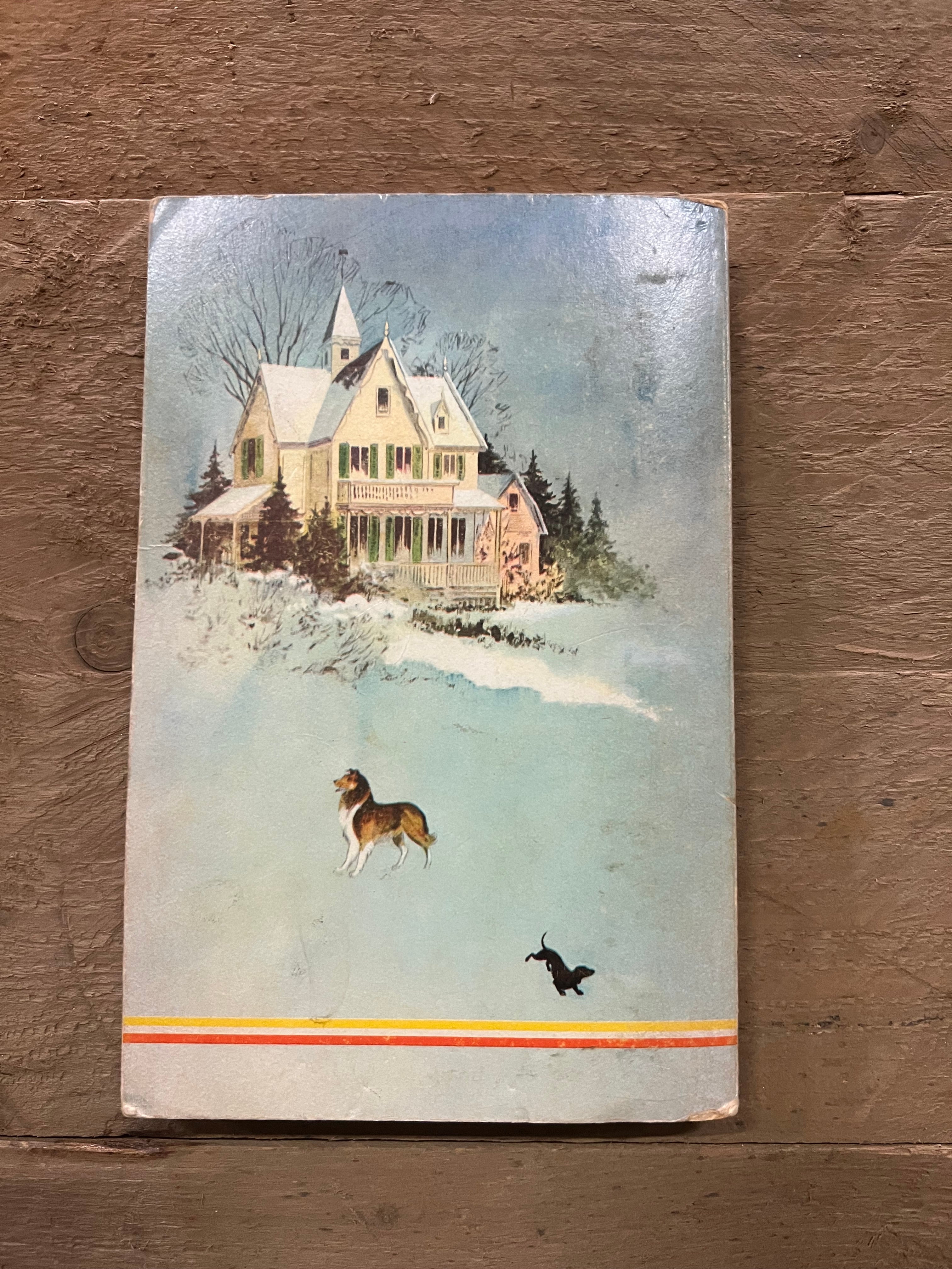 Het Geheim van de Witte Raaf